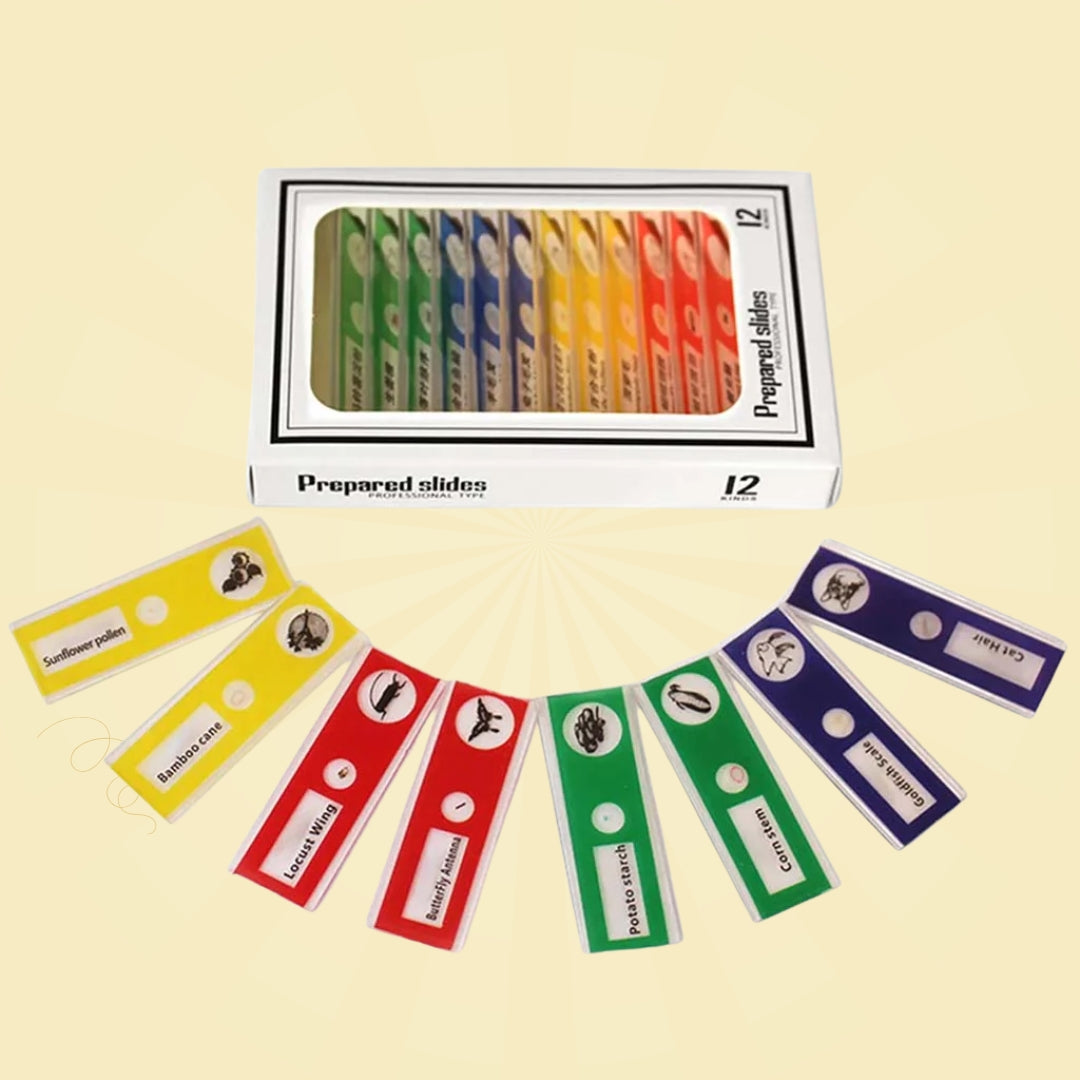 סט שקופיות למיקרוסקופ